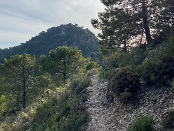 Mantenimiento del recorrido